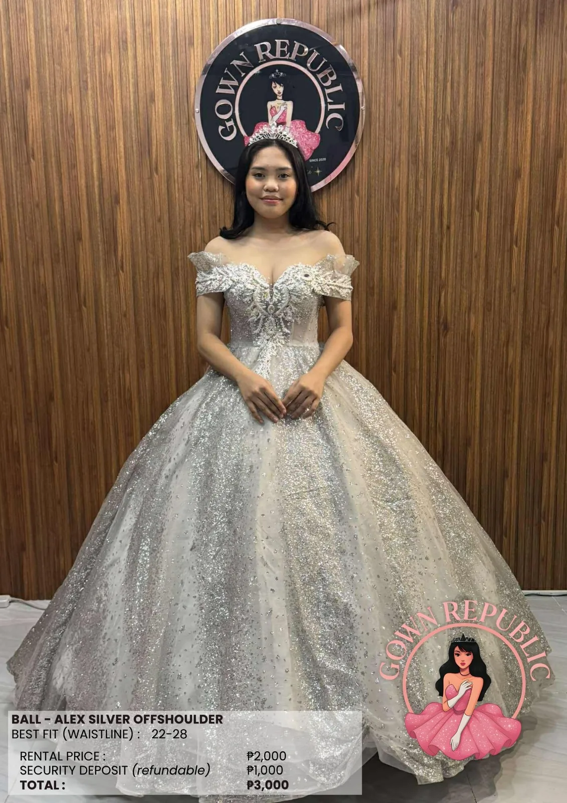 Ball Gowns: Silver / Gray 265